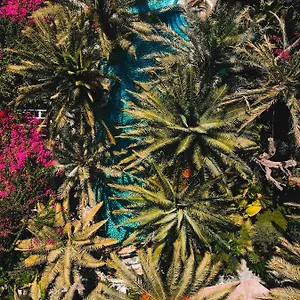 Flamingo Hotel&spa - Pet Friendly Ölüdeniz